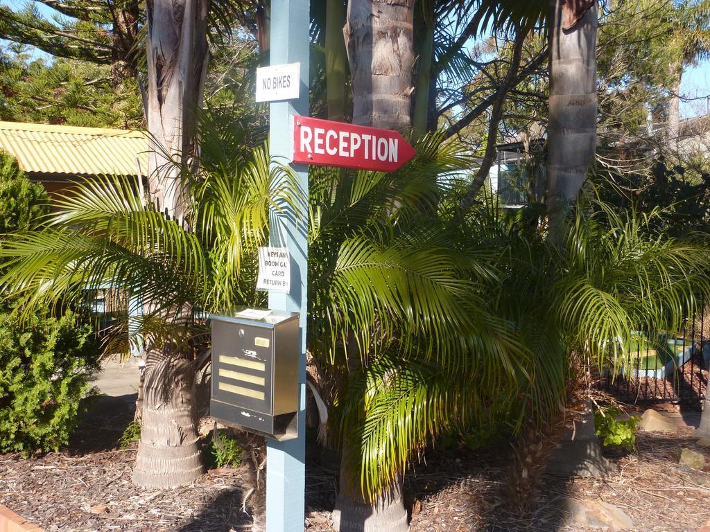 Garden Of Caravan Park Eden